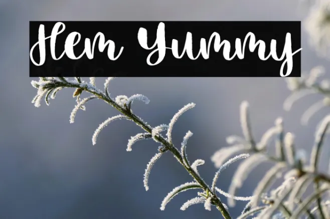 Hem Yummy Example 3