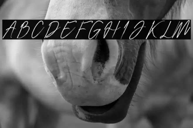 Hembusan Font examples