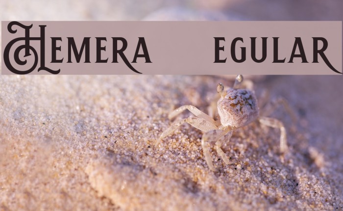 Hemera II DEMO Regular Font examples