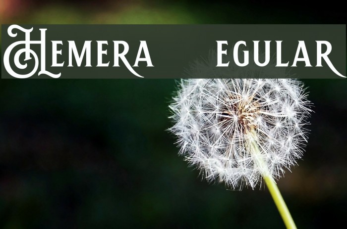 Hemera II DEMO Regular Font examples