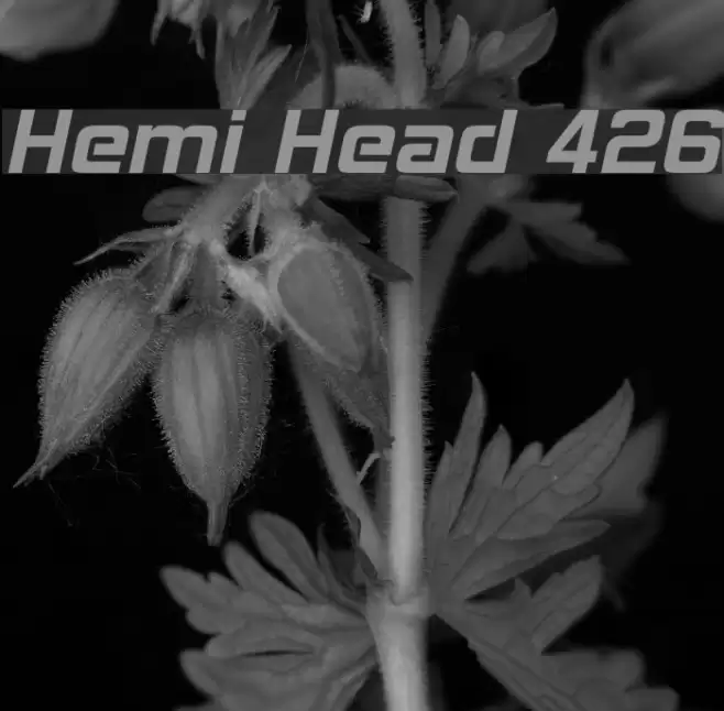 Hemi Head 426 Font examples