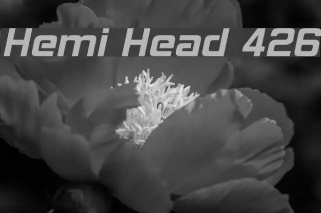 Hemi Head 426 Font examples