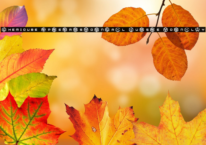 Hemicube PERSONAL USE ONLY Example 3