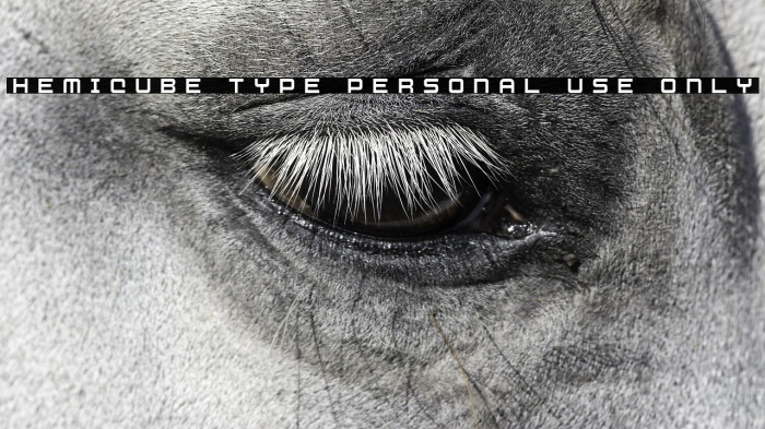 Hemicube Type PERSONAL USE ONLY Example 1