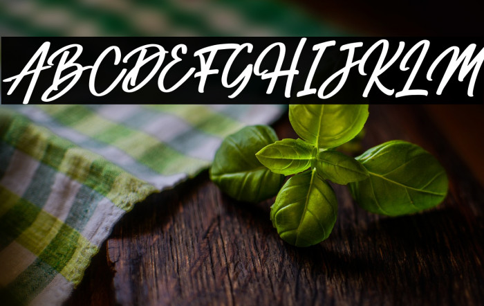 Hemilton Italic Example 1