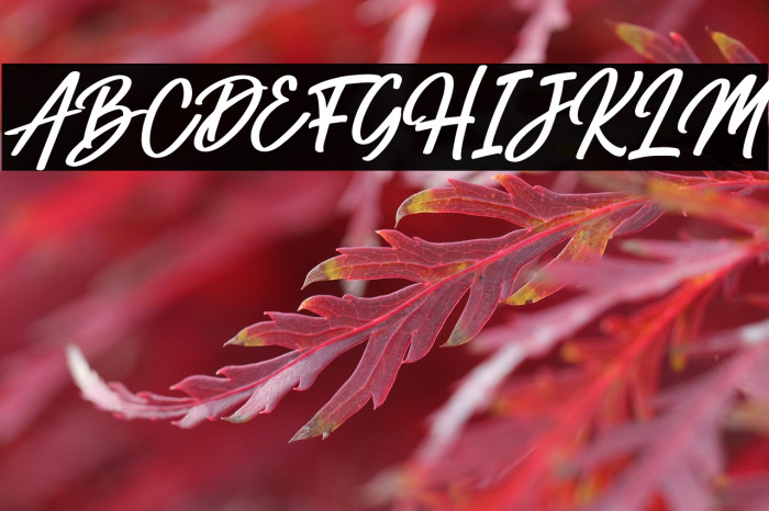 Hemilton Italic Example 2