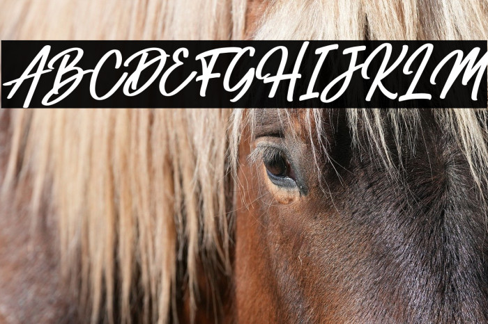 Hemilton Italic Example 3