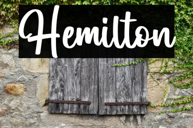 Hemilton Example 1