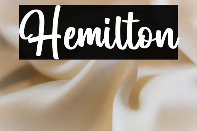 Hemilton Example 2