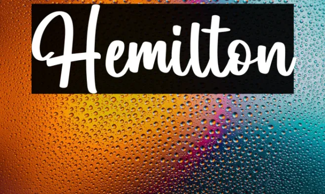Hemilton Example 3