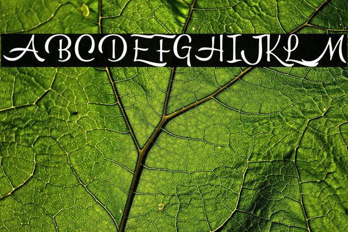 Hemisphers Example 1