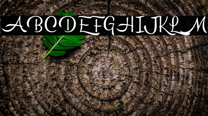 Hemisphers Example 2