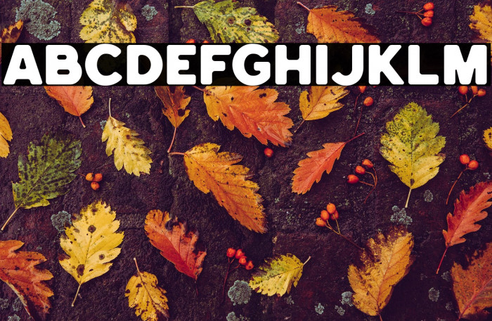 HemisphersBoldSans Example 1