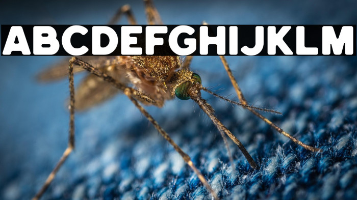 HemisphersBoldSans Example 3