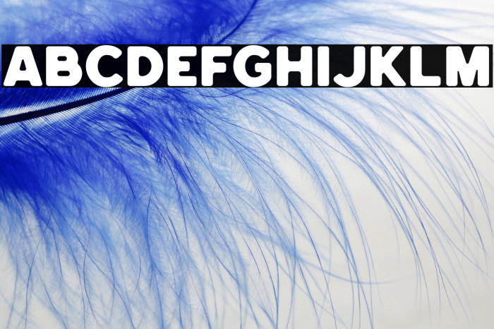 HemisphersBoldSans Example 1