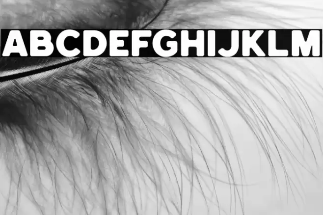 HemisphersBoldSans Font examples