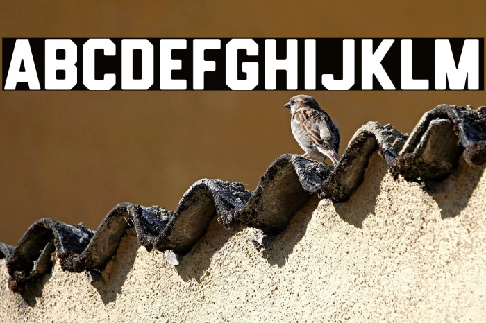 HemisphersSans Example 2