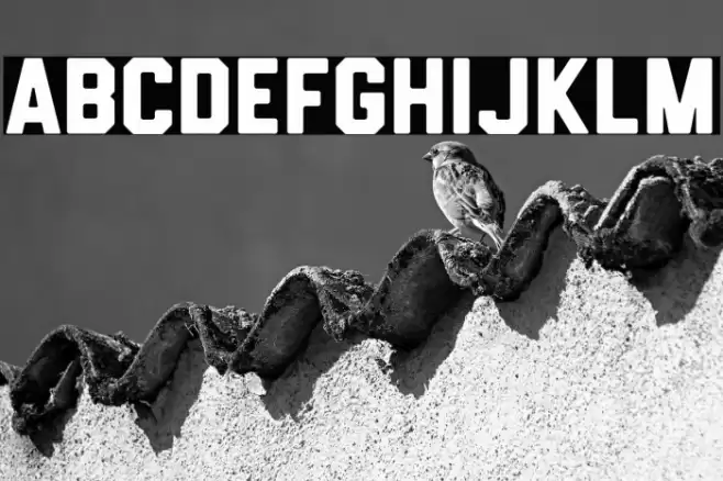 HemisphersSans Font examples