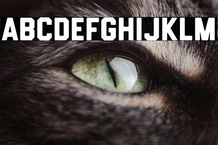 HemisphersSans Example 1