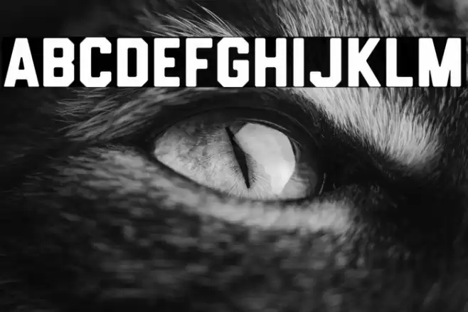 HemisphersSans Font examples