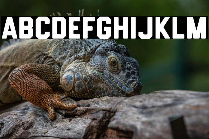 HemisphersSans Example 3