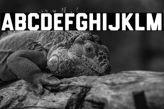 HemisphersSans Font examples