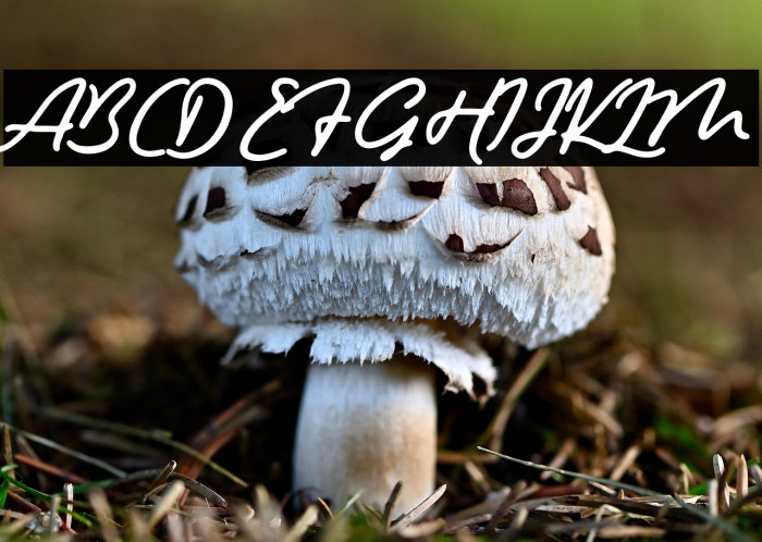 HemisphersScript Example 1