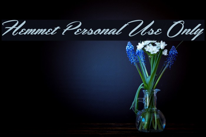 Hemmet Personal Use Only Font examples