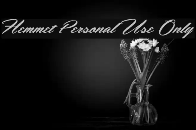 Hemmet Personal Use Only Font examples