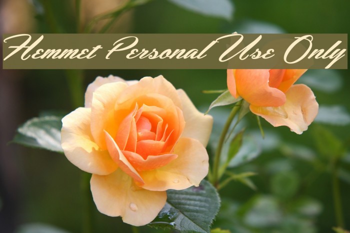 Hemmet Personal Use Only Font examples