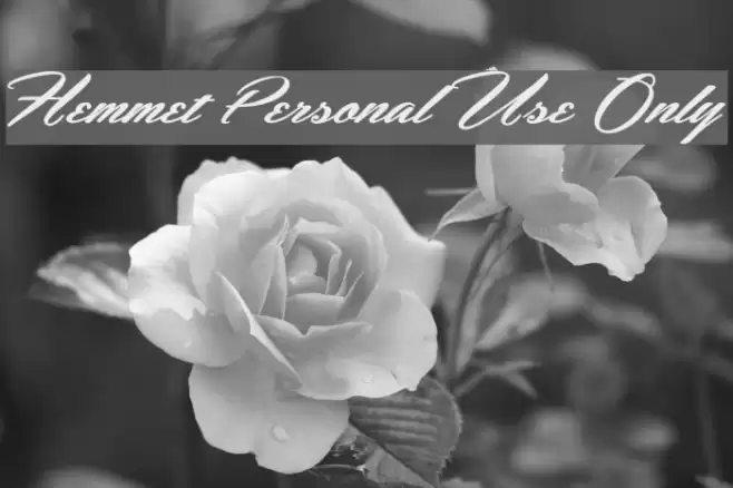 Hemmet Personal Use Only Font examples