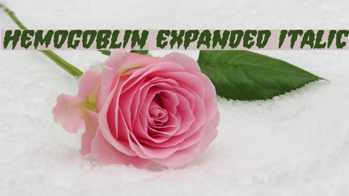 Hemogoblin Expanded Italic Font examples