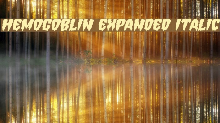 Hemogoblin Expanded Italic Font examples