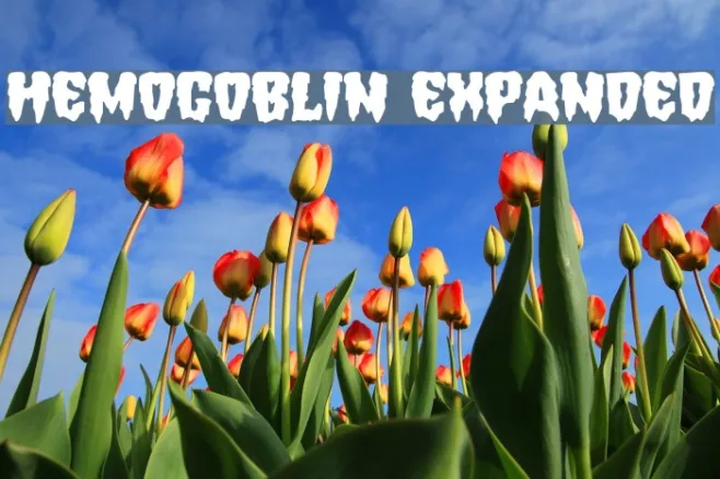 Hemogoblin Expanded Example 1