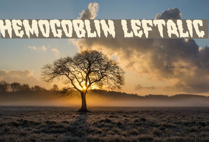 Hemogoblin Leftalic Example 1