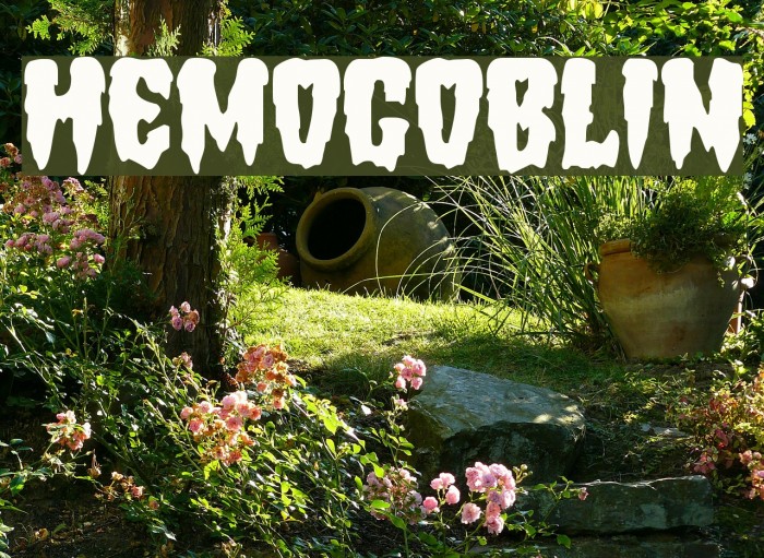 Hemogoblin Example 1