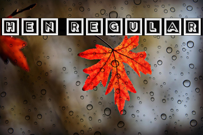 Hen Regular Example 1