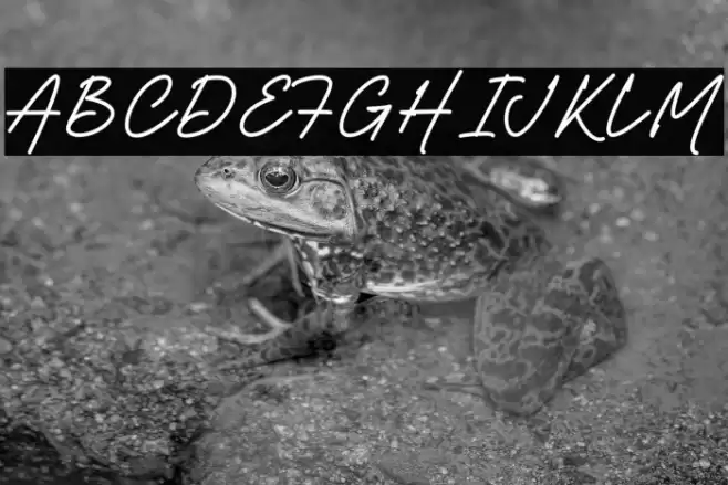 Hendrigo Polices examples