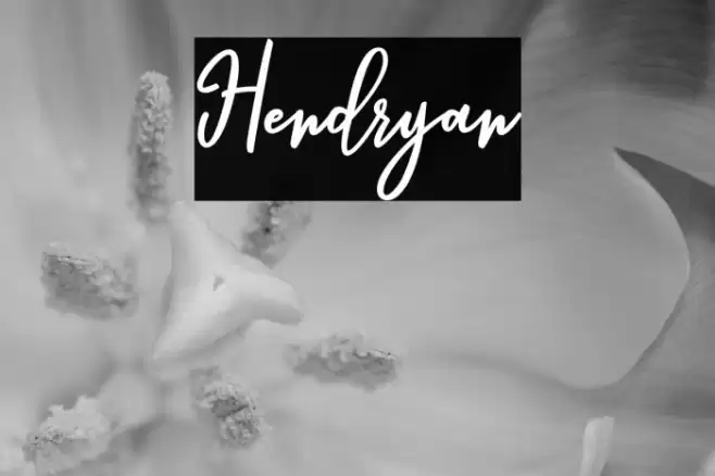Hendryan Font examples