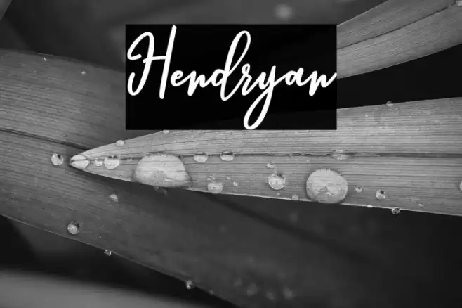 Hendryan Font examples