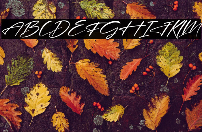 Hendycroft Signature Italic Example 1