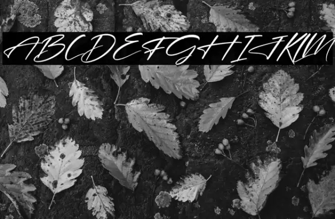 Hendycroft Signature Italic Font examples