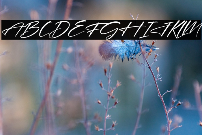 Hendycroft Signature Italic Example 3