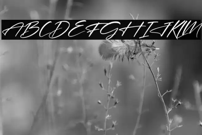 Hendycroft Signature Italic Font examples