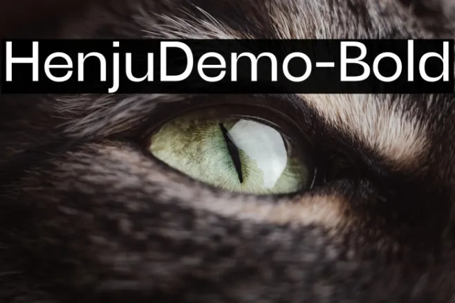 HenjuDemo-Bold Example 3