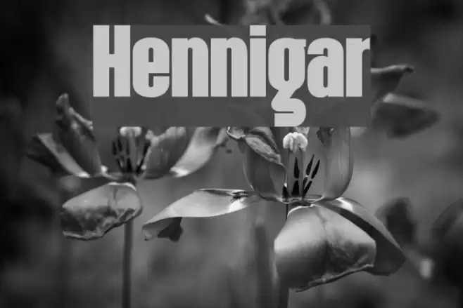 Hennigar Font examples