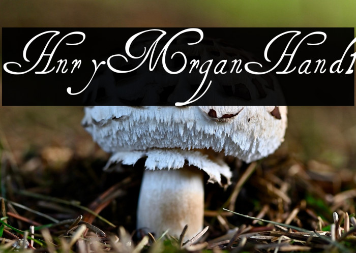 HenryMorganHand1 Example 1