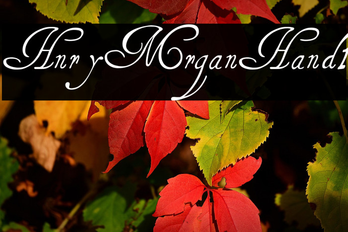 HenryMorganHand1 Example 2