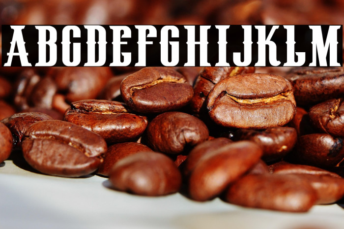 HenryRodeoCircus_demo Example 1