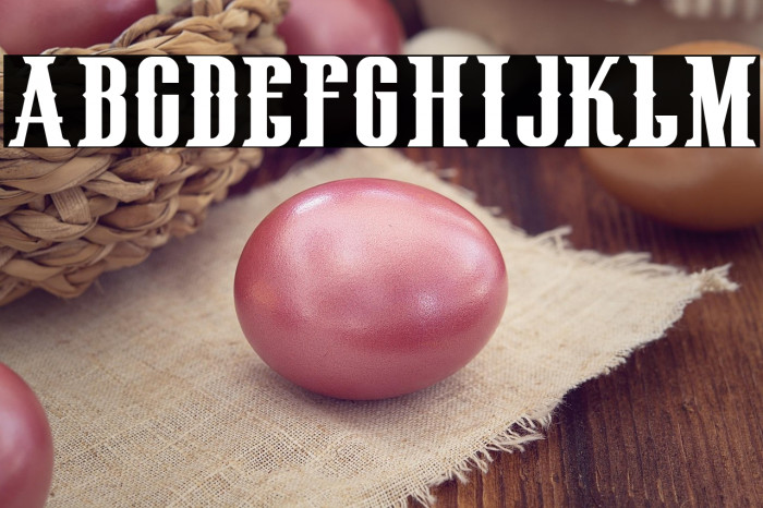 HenryRodeoCircus_demo Example 2